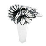 RAM - Image 3